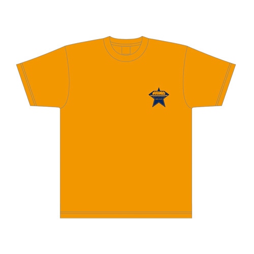 「ファンタシースターオンライン2」サポーターズTシャツ【セガストア2012年末大感謝祭】Mサイズ Mサイズ