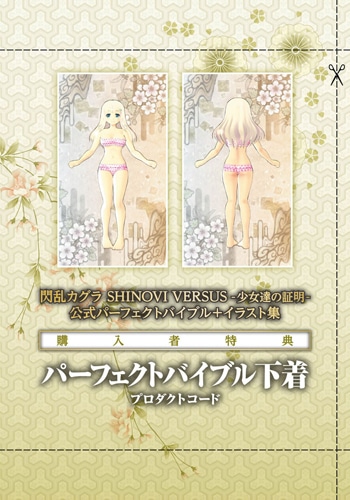 閃乱カグラ SHINOVI VERSUS -少女達の証明- 公式パーフェクトバイブル+イラスト集ebtenDXパック ebtenDXパック