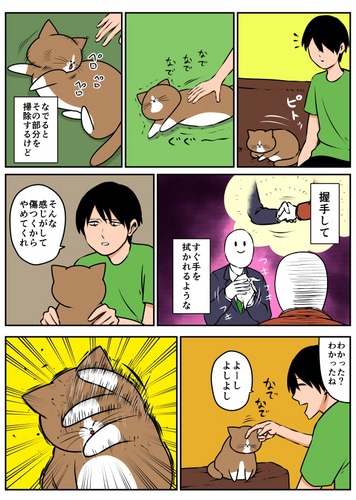 鴻池剛と猫のぽんた　ニャアアアン２ ebtenDＸパック【特典付】 DXパック［完売しました］