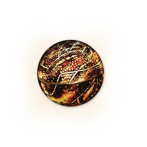 アサシン　クリード　ムービー　エデンの果実　レプリカ