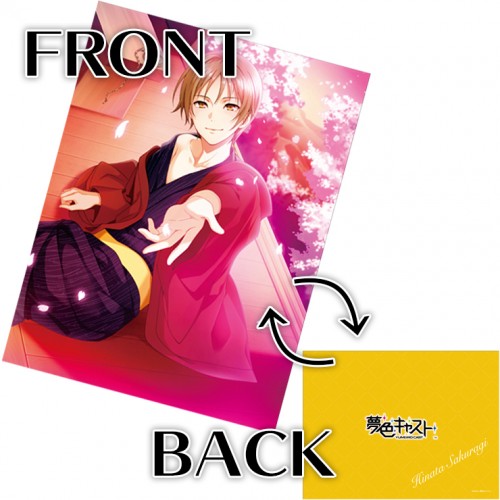 夢色キャスト 公式ファンブック2 ebtenDXパック【愛し君へ】桜木陽向セット 桜木陽向 ※4月中旬出荷分