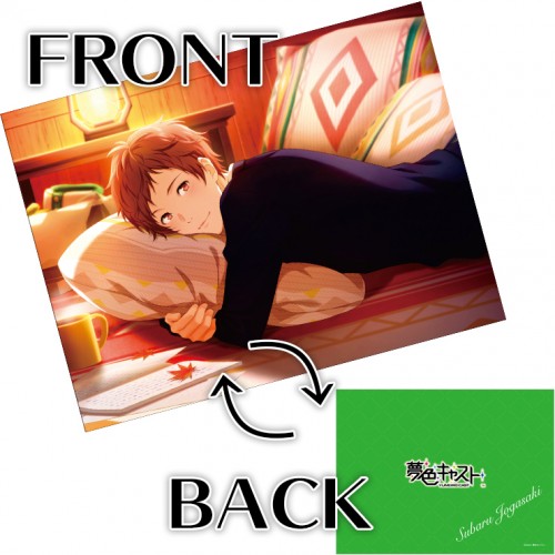 夢色キャスト 公式ファンブック2 ebtenDXパック【愛し君へ】城ヶ崎 昴セット 城ヶ崎 昴 ※4月中旬出荷分