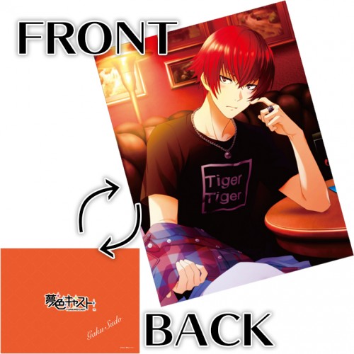 夢色キャスト 公式ファンブック2 ebtenDXパック【愛し君へ】朱道 岳セット 朱道 岳 ※4月中旬出荷分