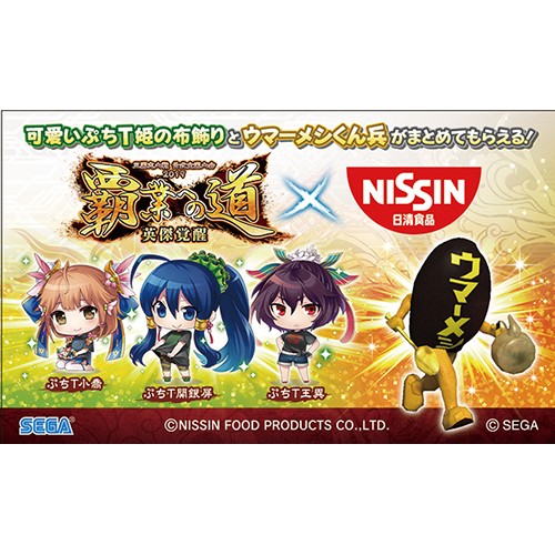 三国志大戦 『覇業への道 英傑覚醒』 特典付 Bセット Bセット