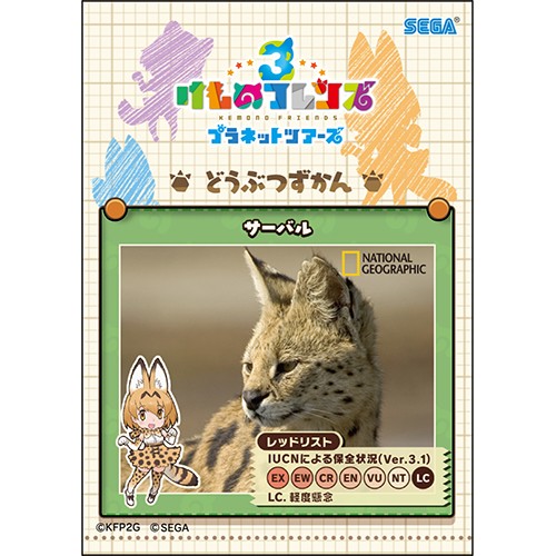 『けものフレンズ3』カードスリーブ 『けものフレンズ3』カードスリーブ