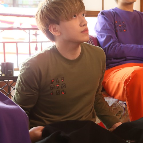 FAV gaming BLOCK Print Long Sleeve OliveM size Mサイズ