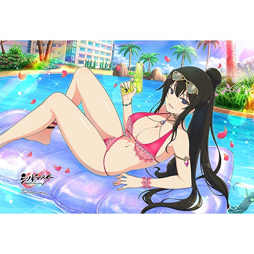 シノビマスター 閃乱カグラ NEW LINK まくらカバー（神楽） （神楽）