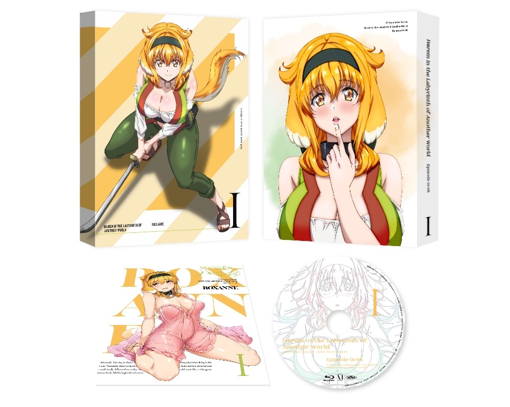 異世界迷宮でハーレムを  DVD BOX 上巻《通常版》