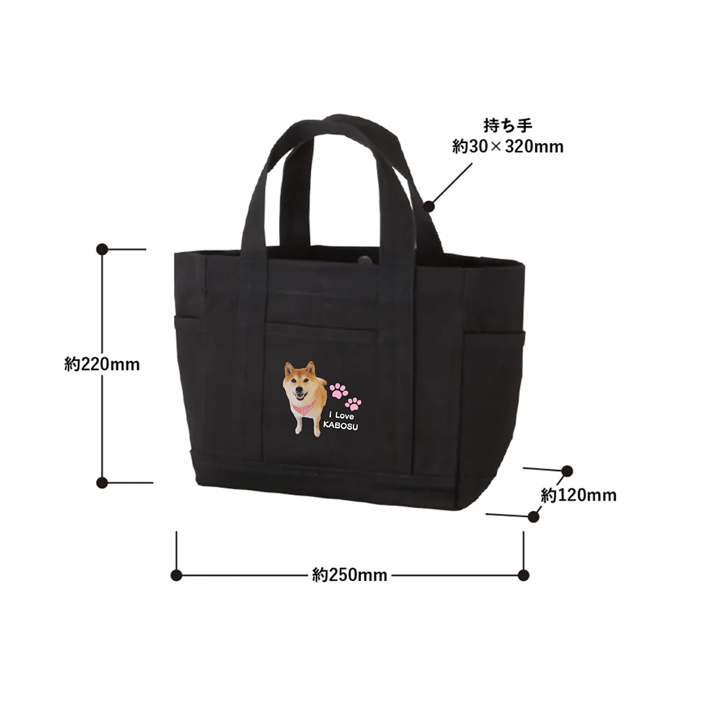 【数量限定】ぬいぐるみキーホルダー＆ポストカード付き「かぼすちゃんと、ずうっとおさんぽ。」バッグ（ブラック）＆写真集