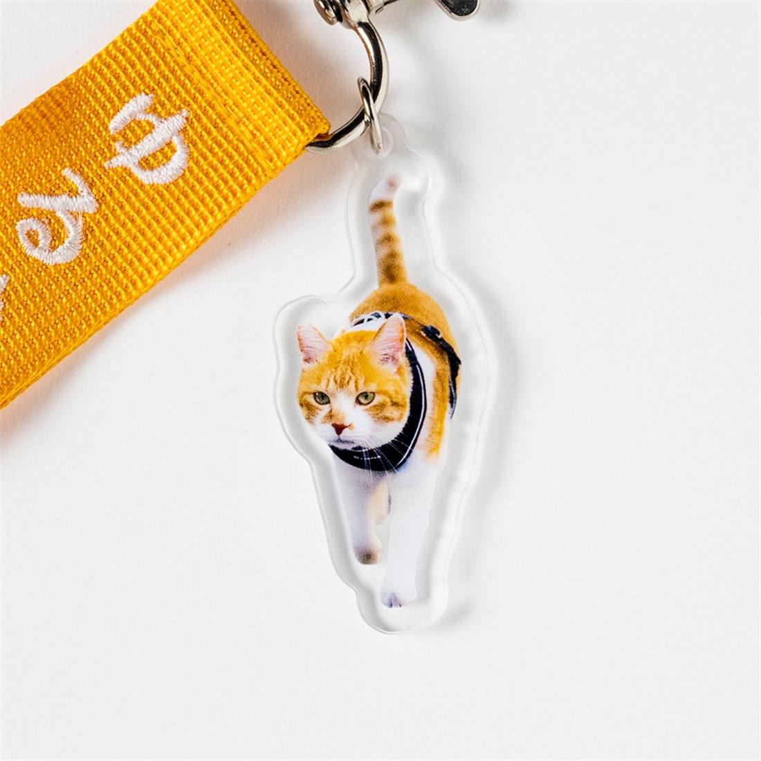 元野良猫チャチャ　ストラップ付アクリルキーホルダー