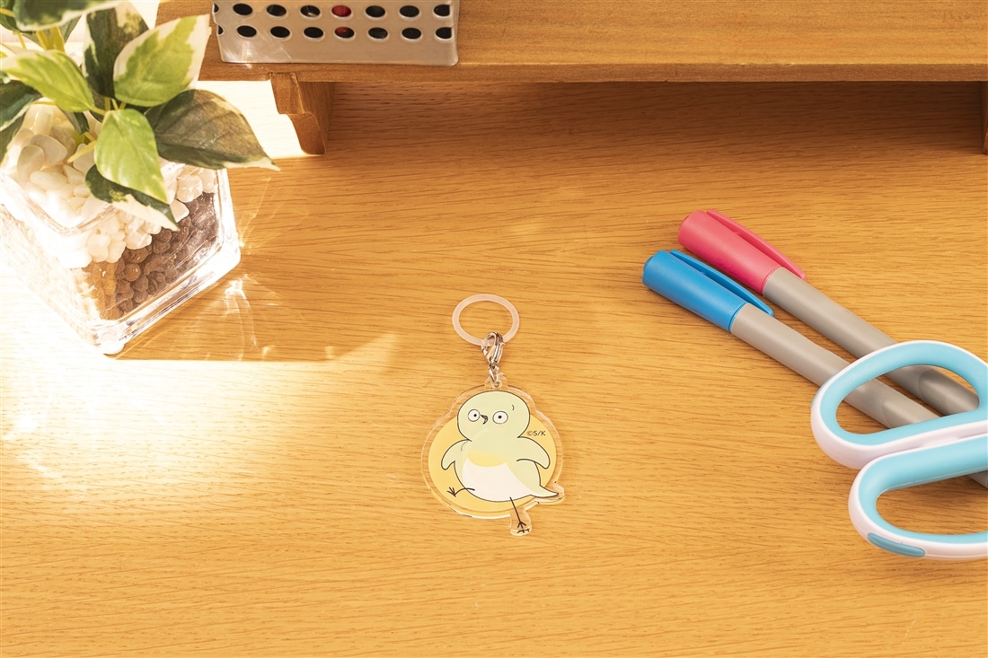 めじとやも　アクリルチャーム　メジ