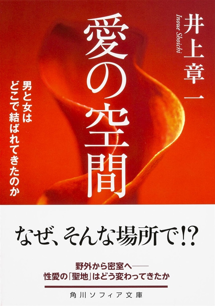 愛の空間 男と女はどこで結ばれてきたのか