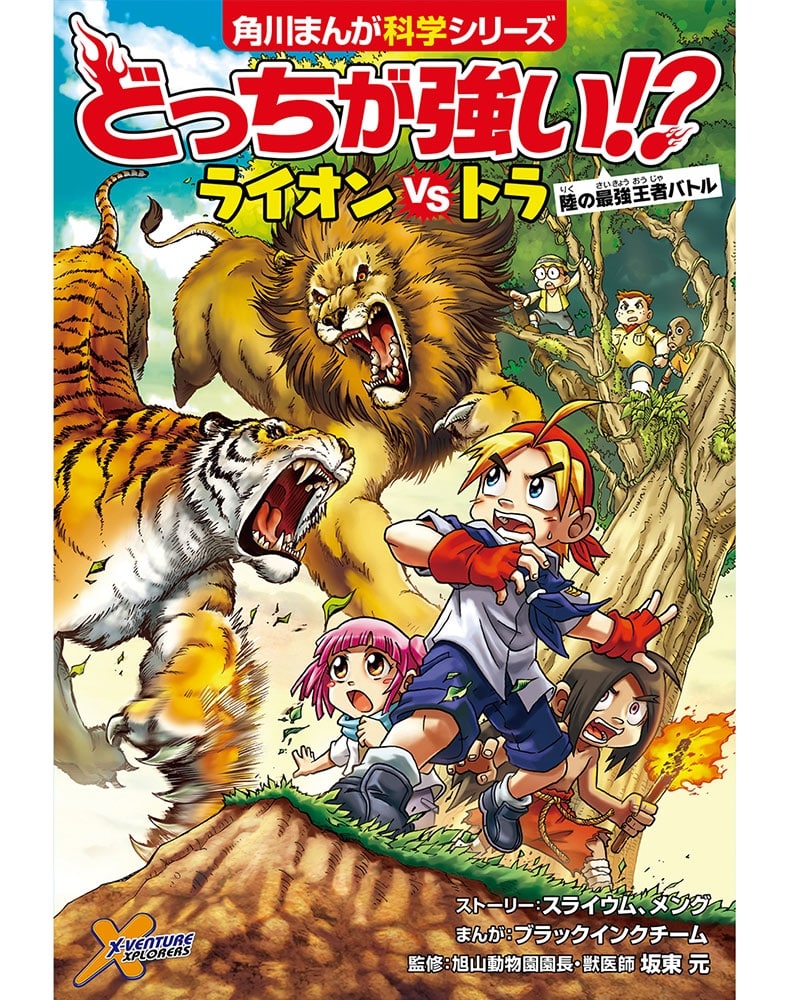 どっちが強い!? ライオンｖｓトラ 陸の最強王者バトル