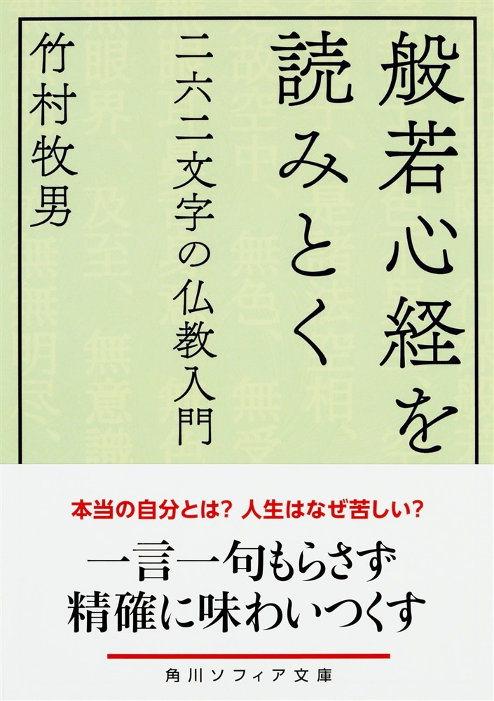 般若心経を読みとく 二六二文字の仏教入門