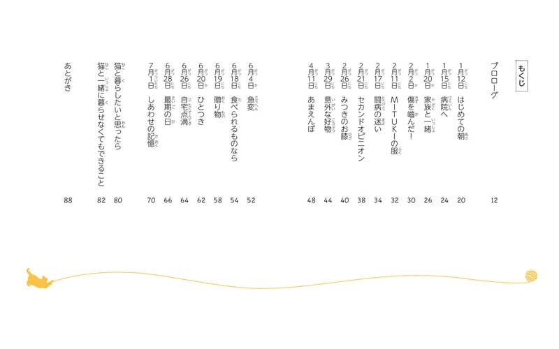 それでも人を信じた猫 黒猫みつきの１８０日