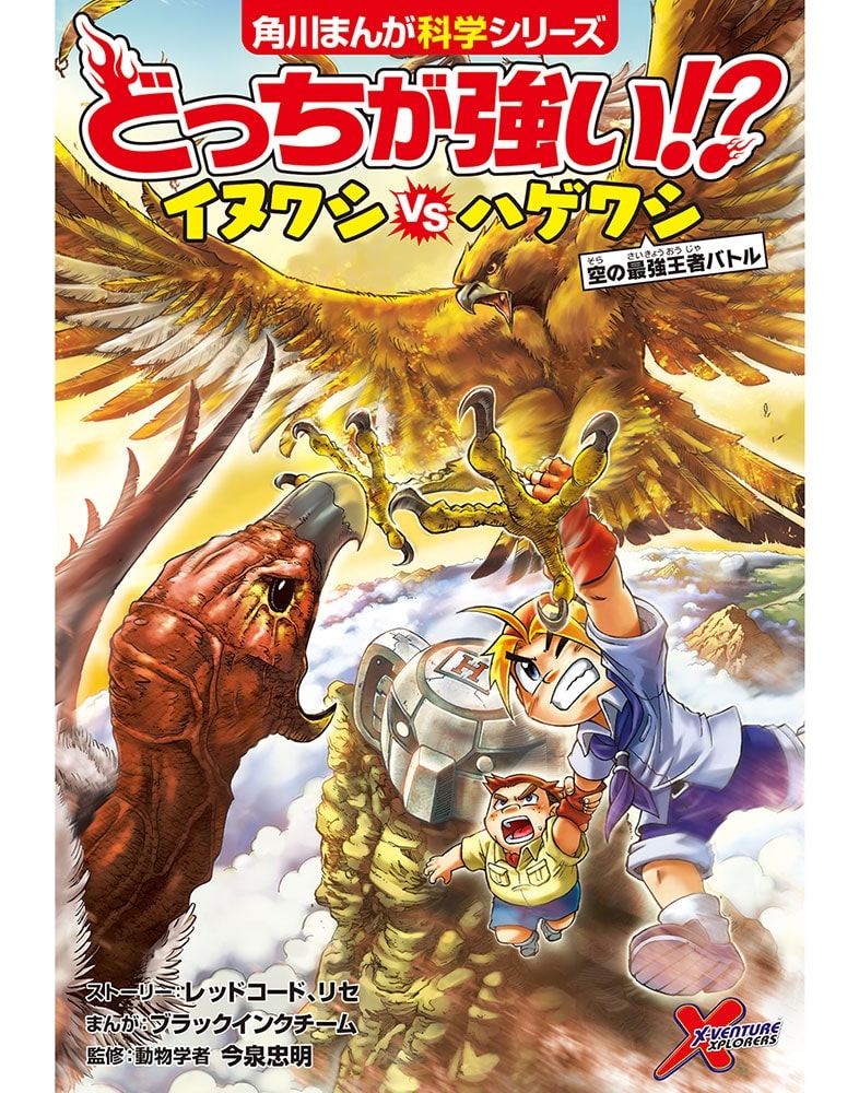 どっちが強い!? イヌワシvsハゲワシ 空の最強王者バトル