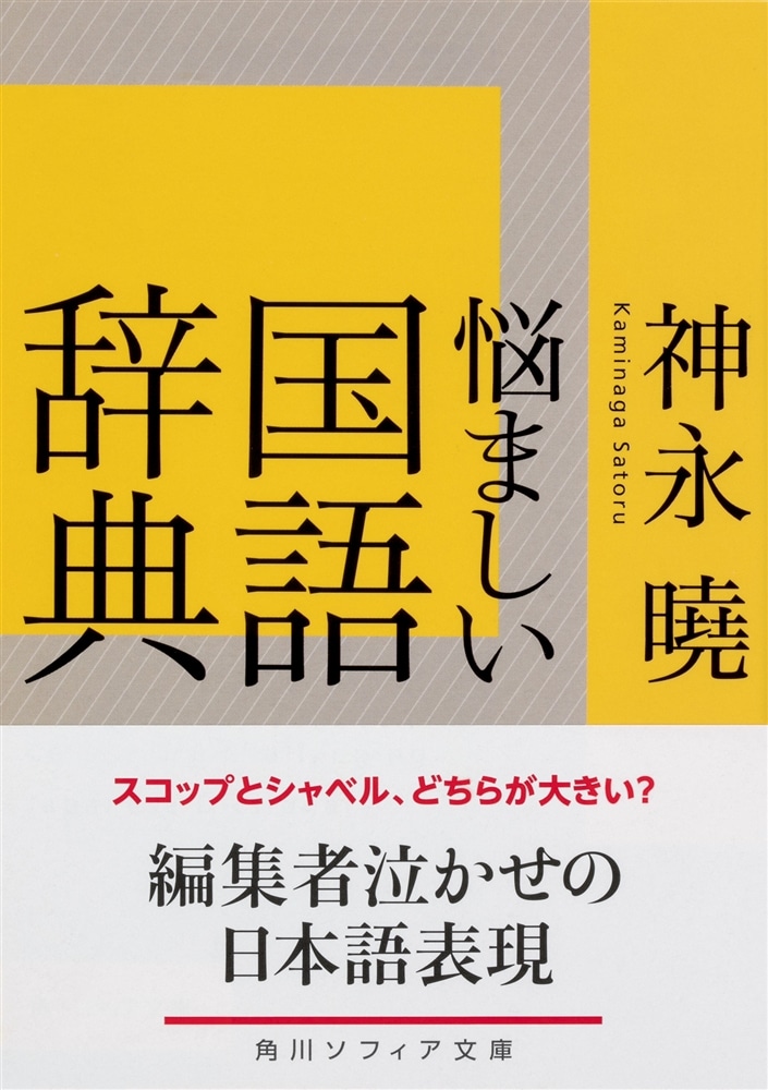 悩ましい国語辞典