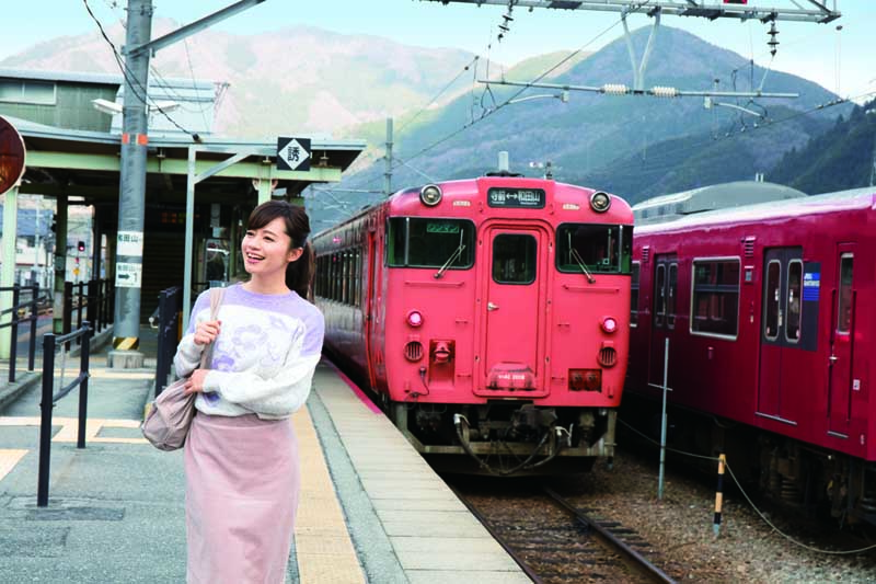 関西ローカル列車ひとり旅 ウォーカームック