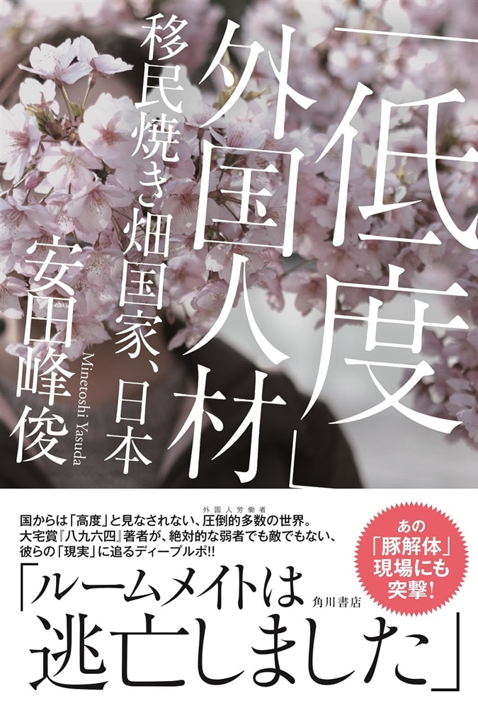 「低度」外国人材 移民焼き畑国家、日本