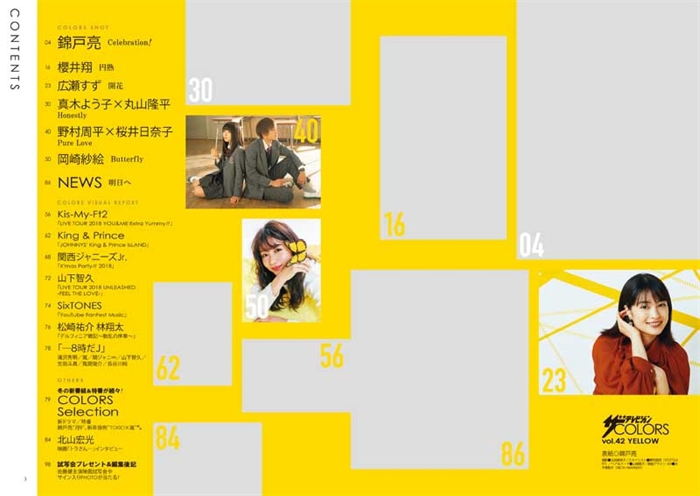 ザテレビジョンＣＯＬＯＲＳ　　Vol.42　YELLOW