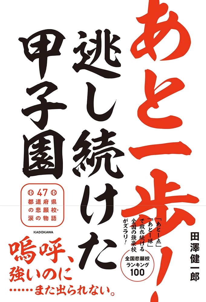 あと一歩！逃し続けた甲子園 ４７都道府県の悲願校・涙の物語