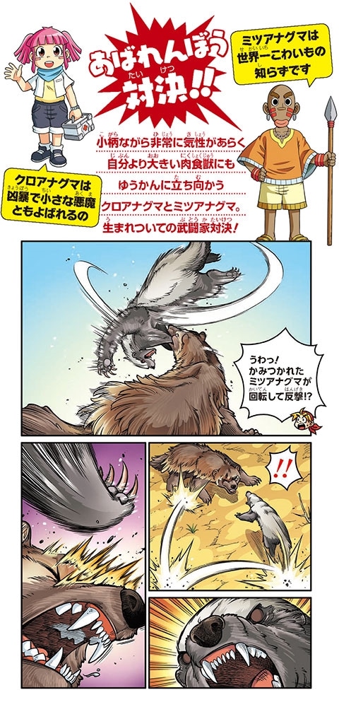 どっちが強い!? クロアナグマvsミツアナグマ ナメたら危険！小型猛獣