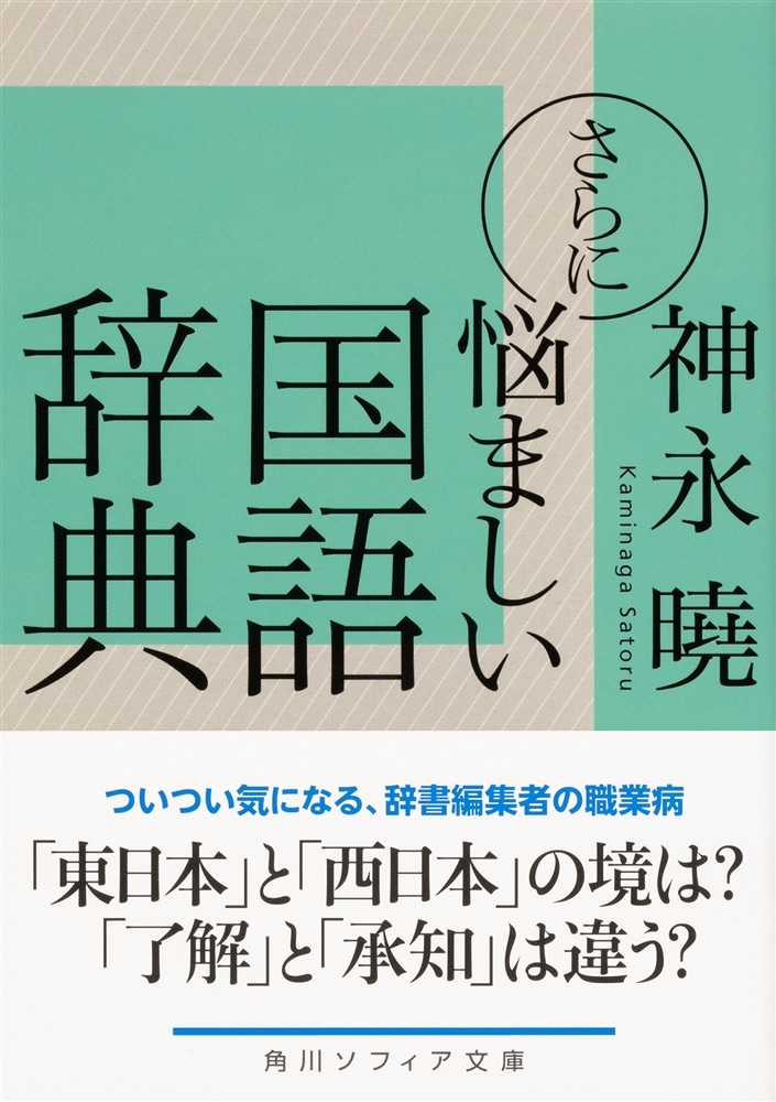 さらに悩ましい国語辞典