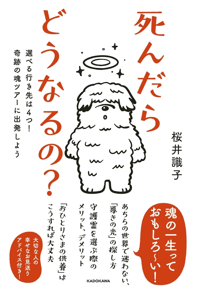 死んだらどうなるの？ 選べる行き先は４つ！奇跡の魂ツアーに出発しよう