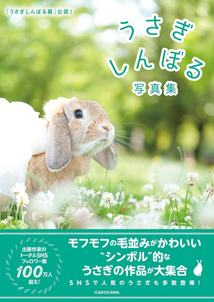 「うさぎしんぼる展」公認！ うさぎしんぼる写真集