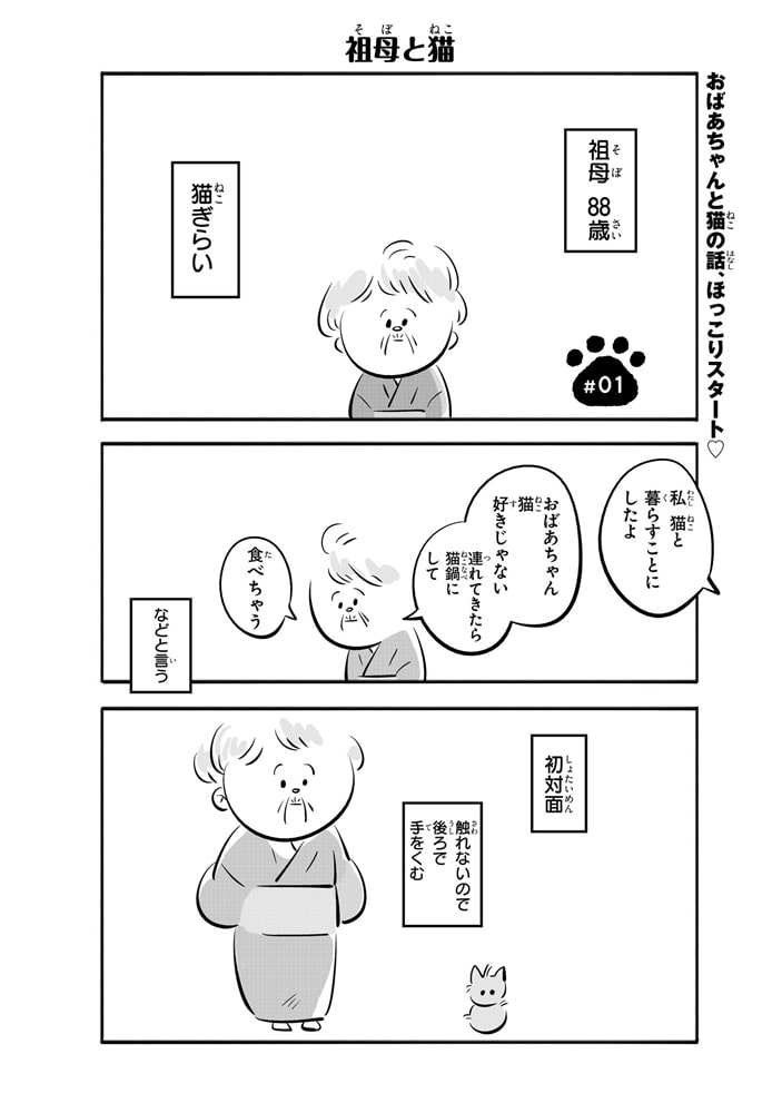 祖母と猫