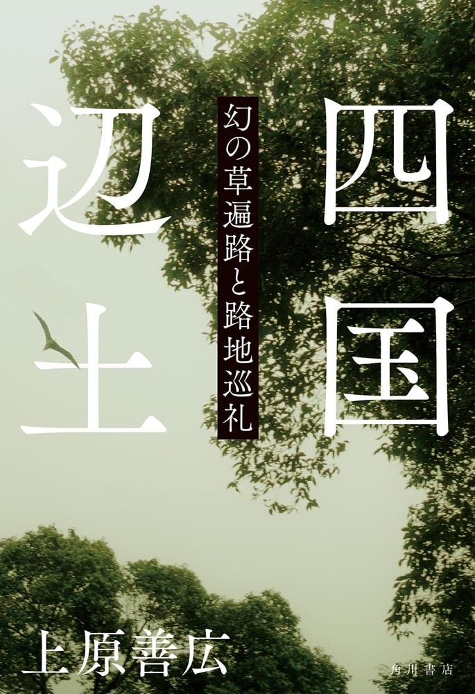 四国辺土 幻の草遍路と路地巡礼