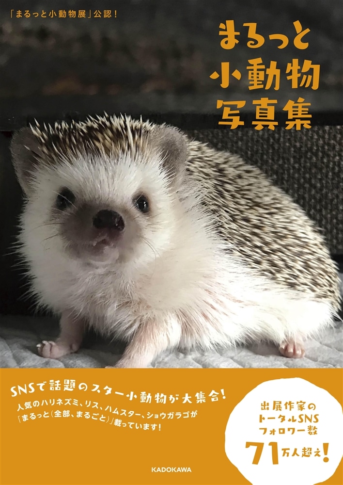 「まるっと小動物展」公認！ まるっと小動物写真集