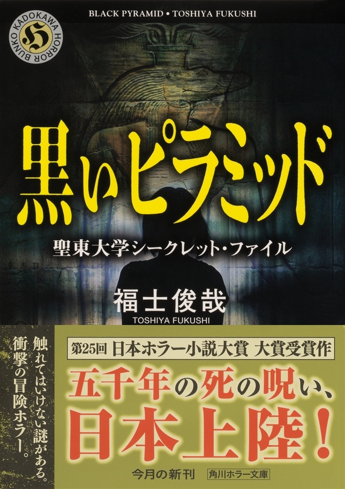 黒いピラミッド 聖東大学シークレット・ファイル