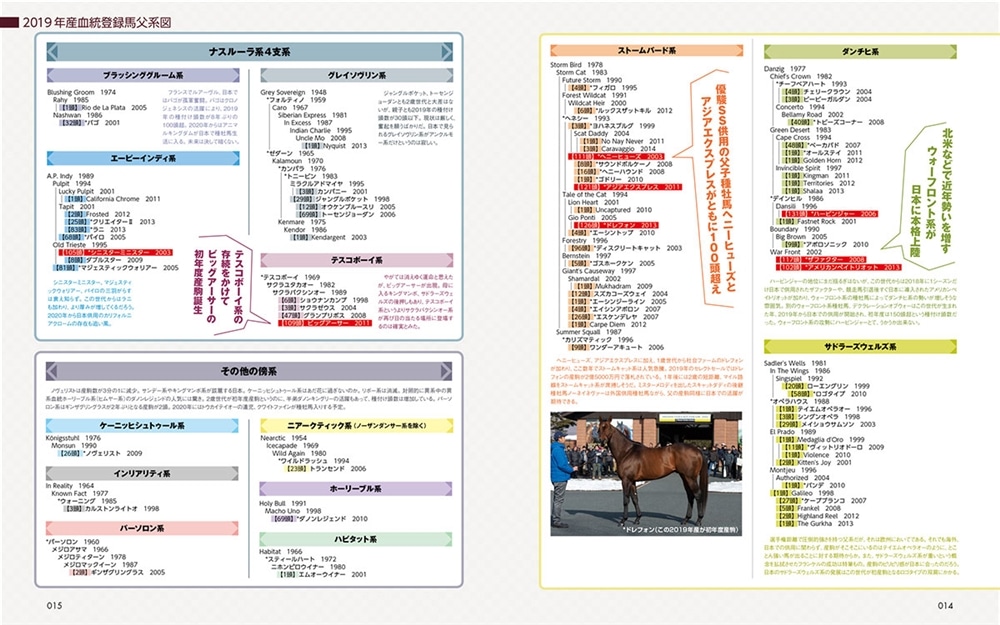 一口馬主＆ＰＯＧ攻略読本 愛馬選びはここを見よ！