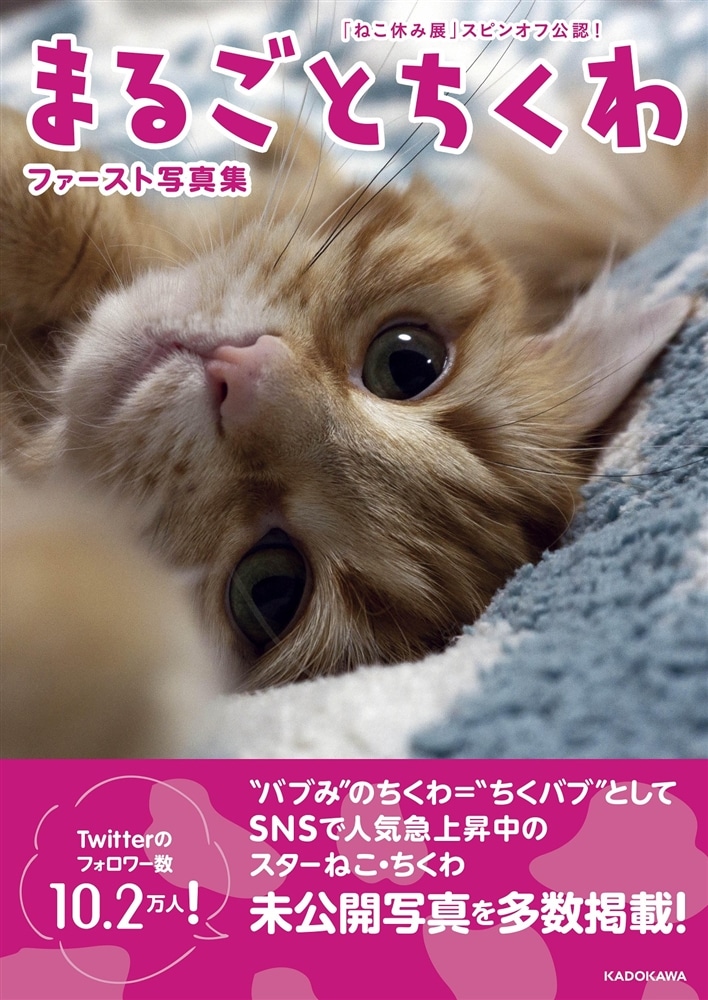 「ねこ休み展」スピンオフ公認！ まるごとちくわ ファースト写真集