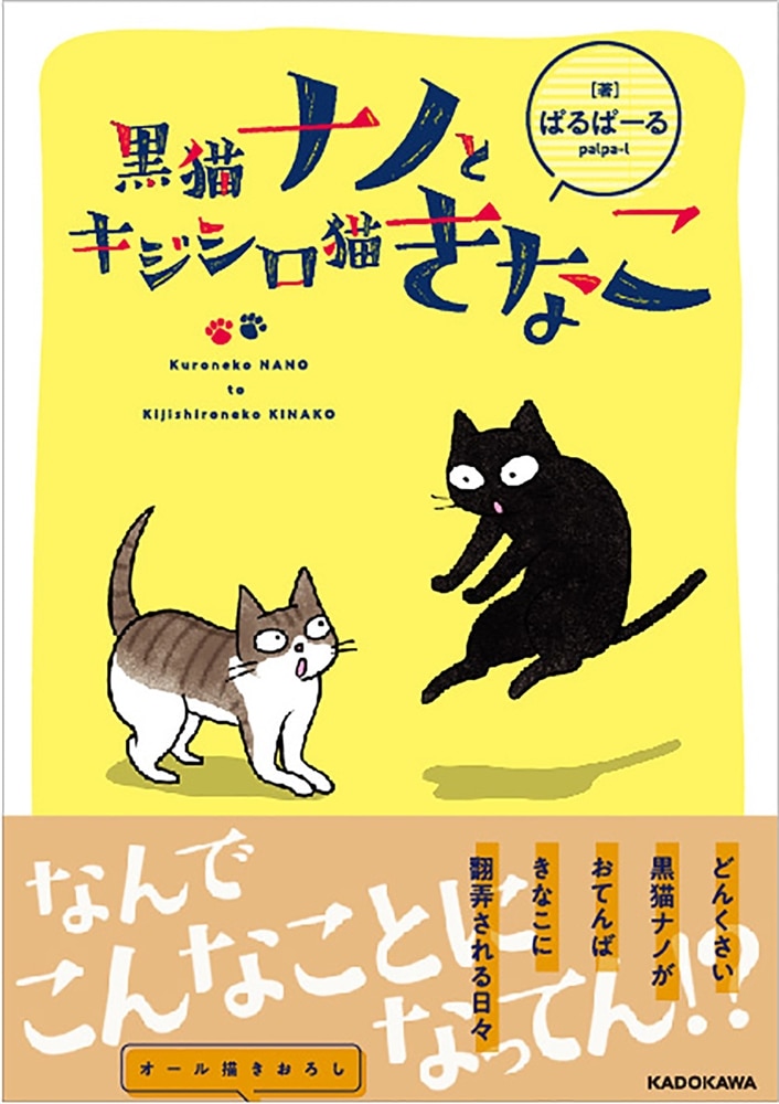 黒猫ナノとキジシロ猫きなこ