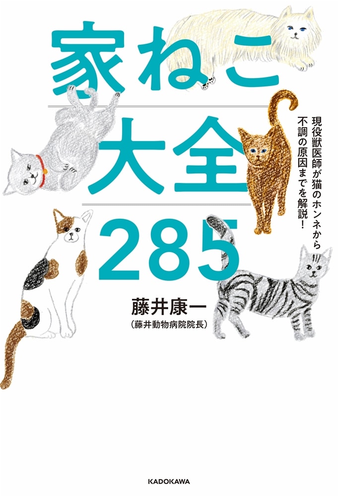 現役獣医師が猫のホンネから不調の原因までを解説！ 家ねこ大全 285