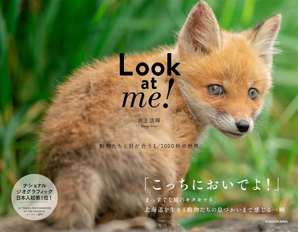 Look at me! 動物たちと目が合う1/1000秒の世界