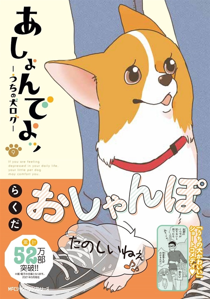 あしょんでよッ　～うちの犬ログ～　9