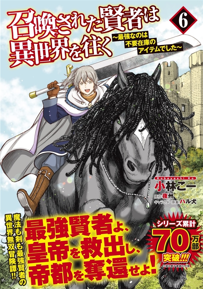 召喚された賢者は異世界を往く　～最強なのは不要在庫のアイテムでした～　6