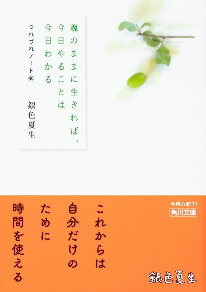 魂のままに生きれば、今日やることは今日わかる つれづれノート40