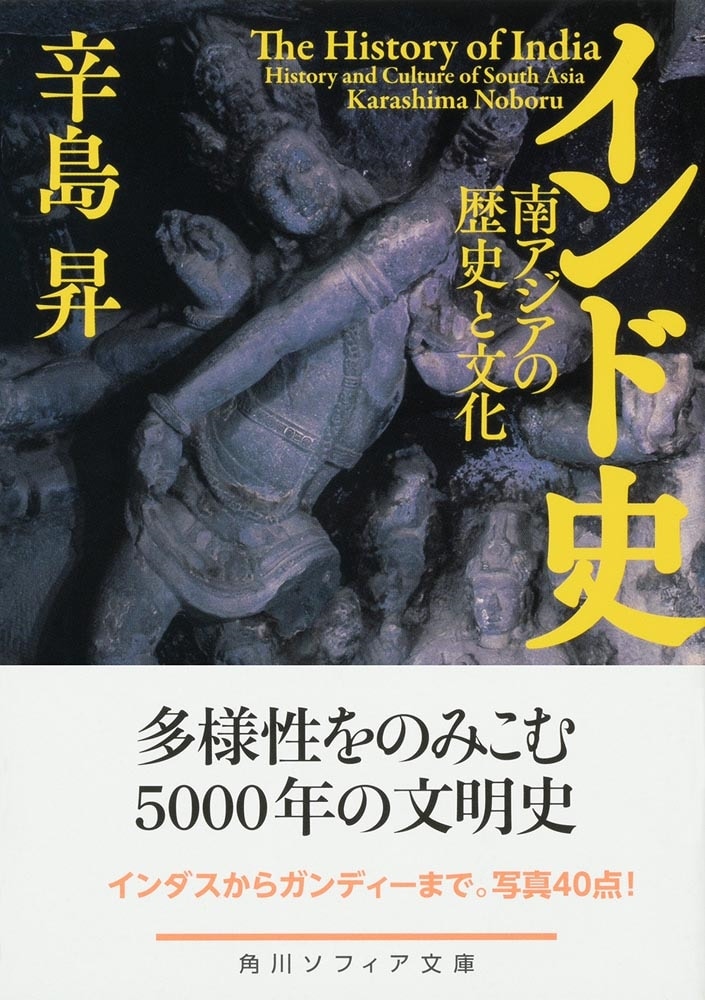 インド史 南アジアの歴史と文化