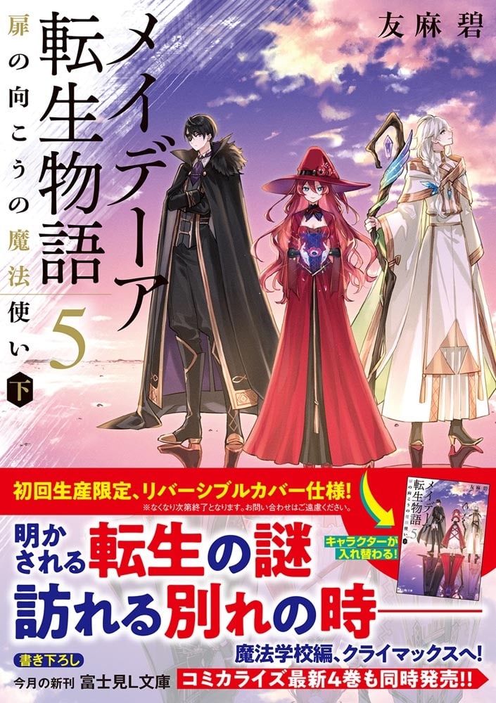 メイデーア転生物語 ５ 扉の向こうの魔法使い（下）