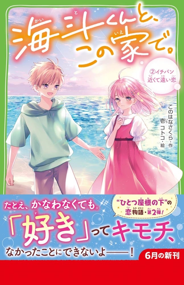 海斗くんと、この家で。 (2)イチバン近くて遠い恋