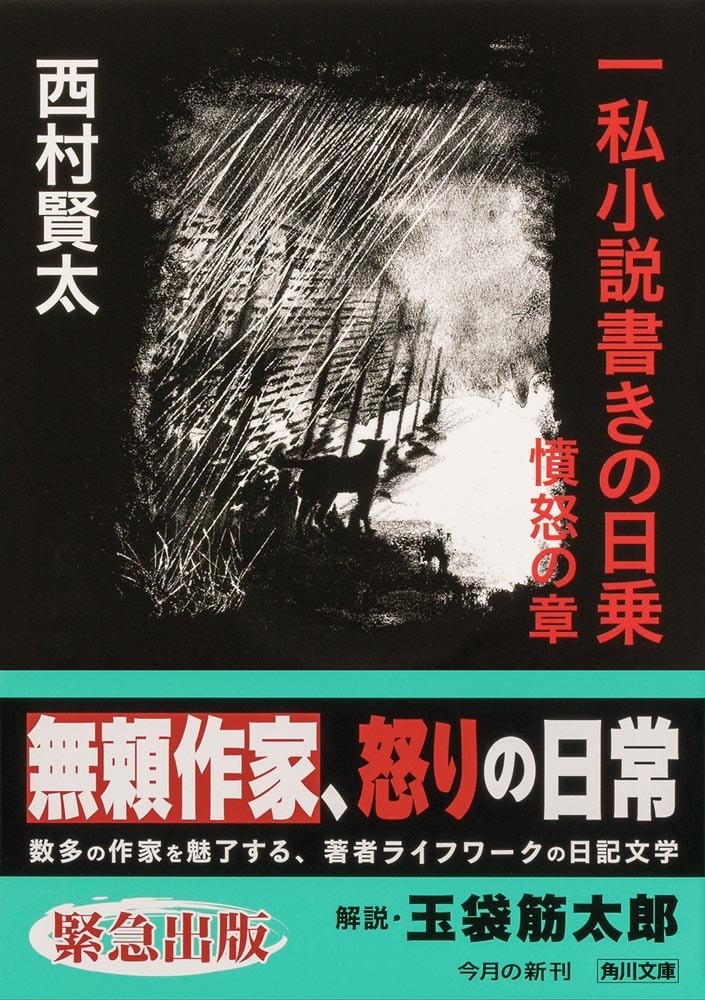 一私小説書きの日乗 憤怒の章