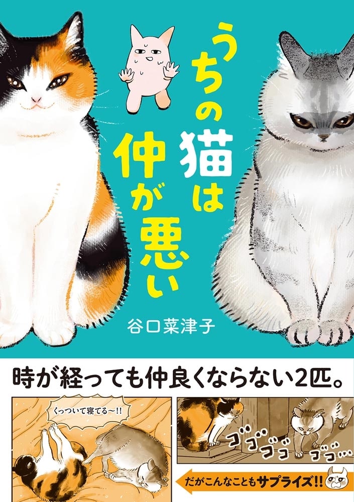 うちの猫は仲が悪い