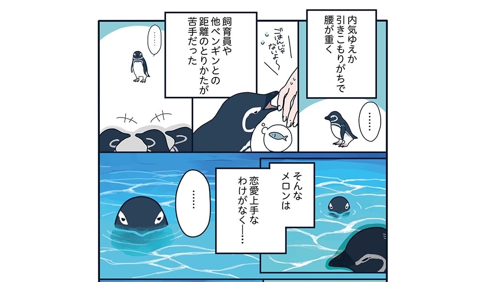 下町ペンギン物語