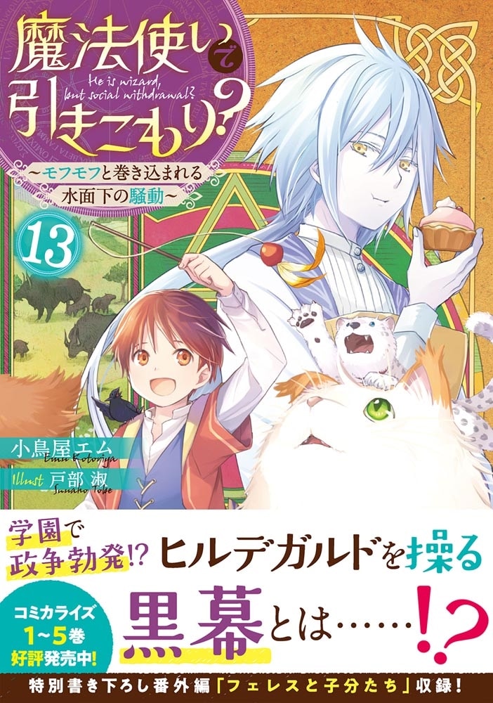 魔法使いで引きこもり？１３ ～モフモフと巻き込まれる水面下の騒動～