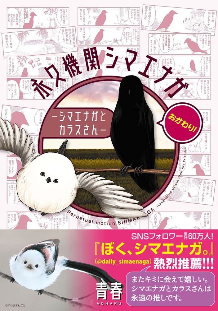 永久機関シマエナガ‐シマエナガとカラスさん‐おかわり！