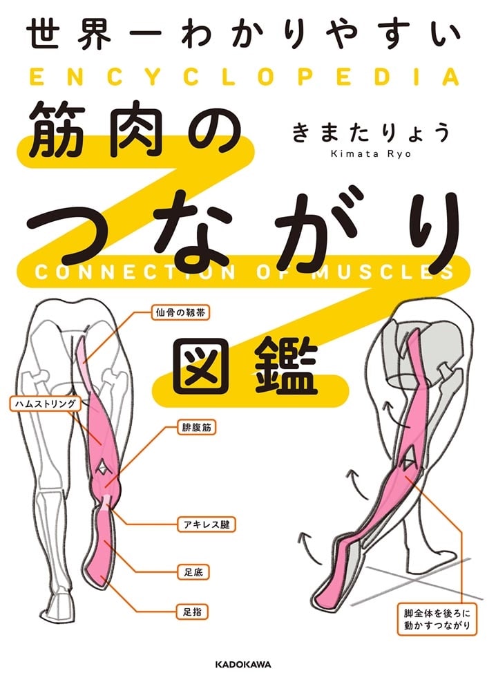 世界一わかりやすい 筋肉のつながり図鑑